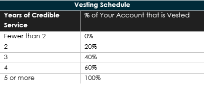 Vesting Schedule