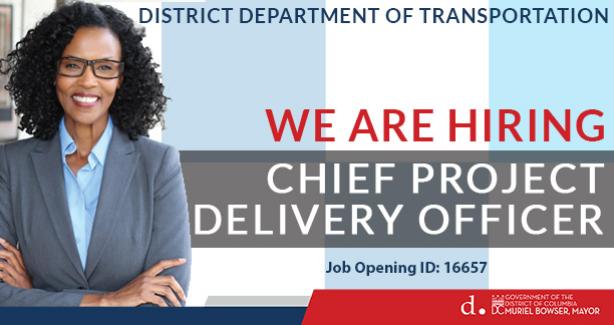Chief Project Delivery Officer 16657